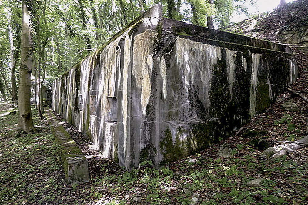 Ligne Maginot - HELFEDANGE - GUINGLANGE (SF FAULQUEMONT) - (PC de Secteur) - PC du temps de guerre    - Sylvie Laure LAMBERT