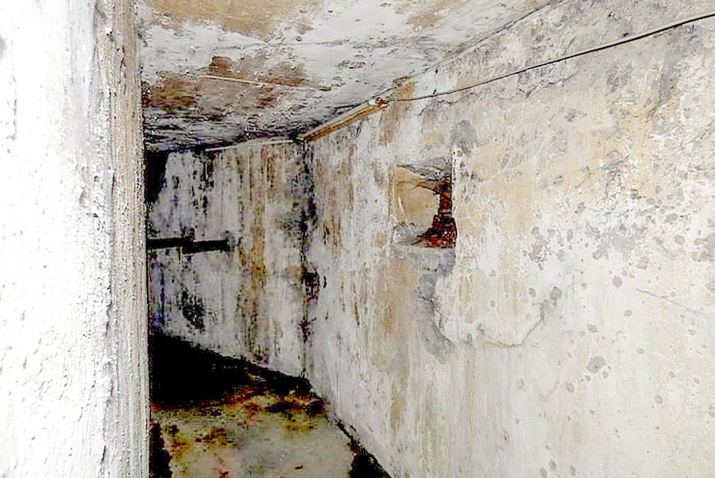 Ligne Maginot - VILLING (POSTE GRM) - (Poste GRM - Maison Forte) -  - Sylvie Laure LAMBERT