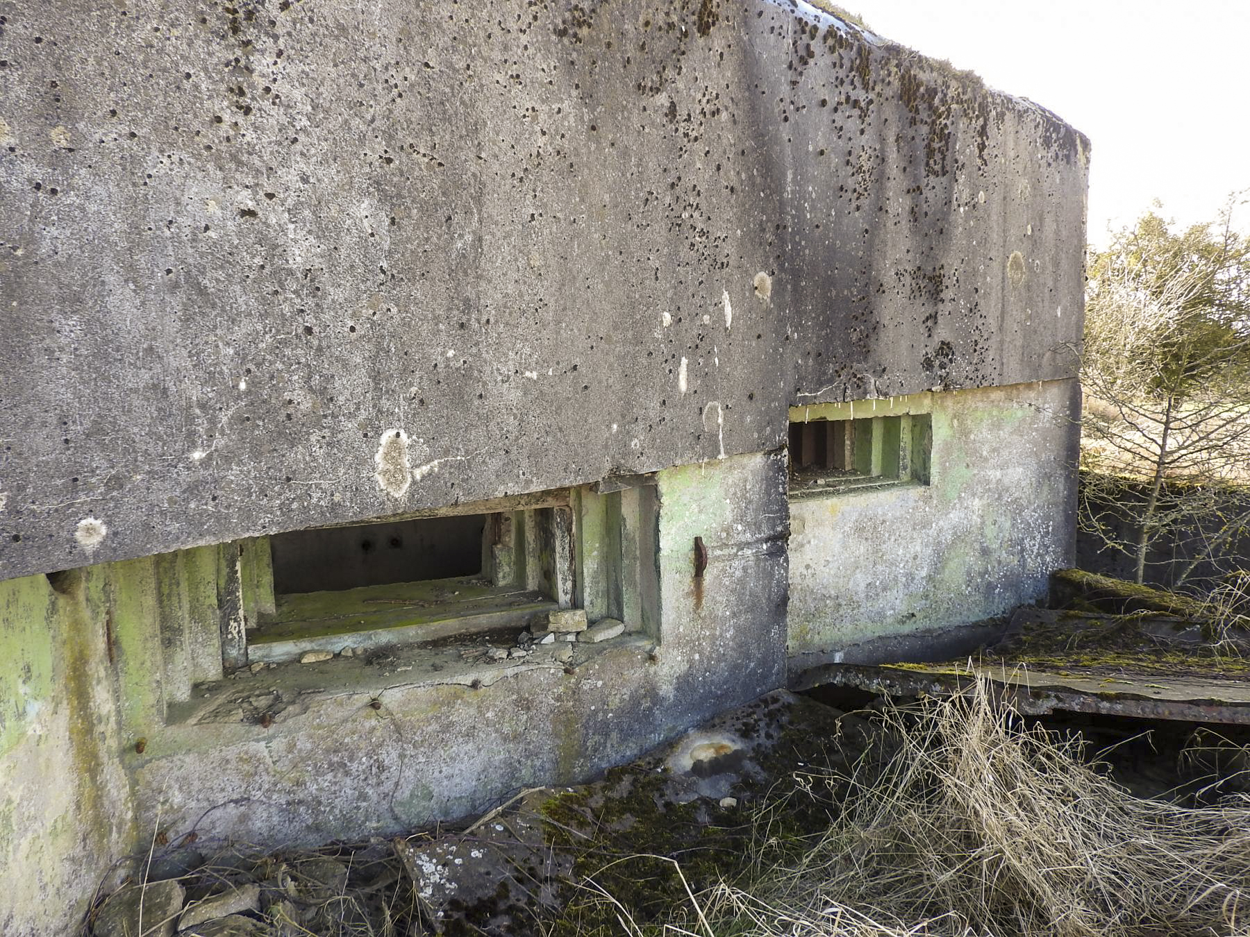 Ligne Maginot - AB35 - (Blockhaus pour canon) - La façade de tir. - STENGER Mathieu