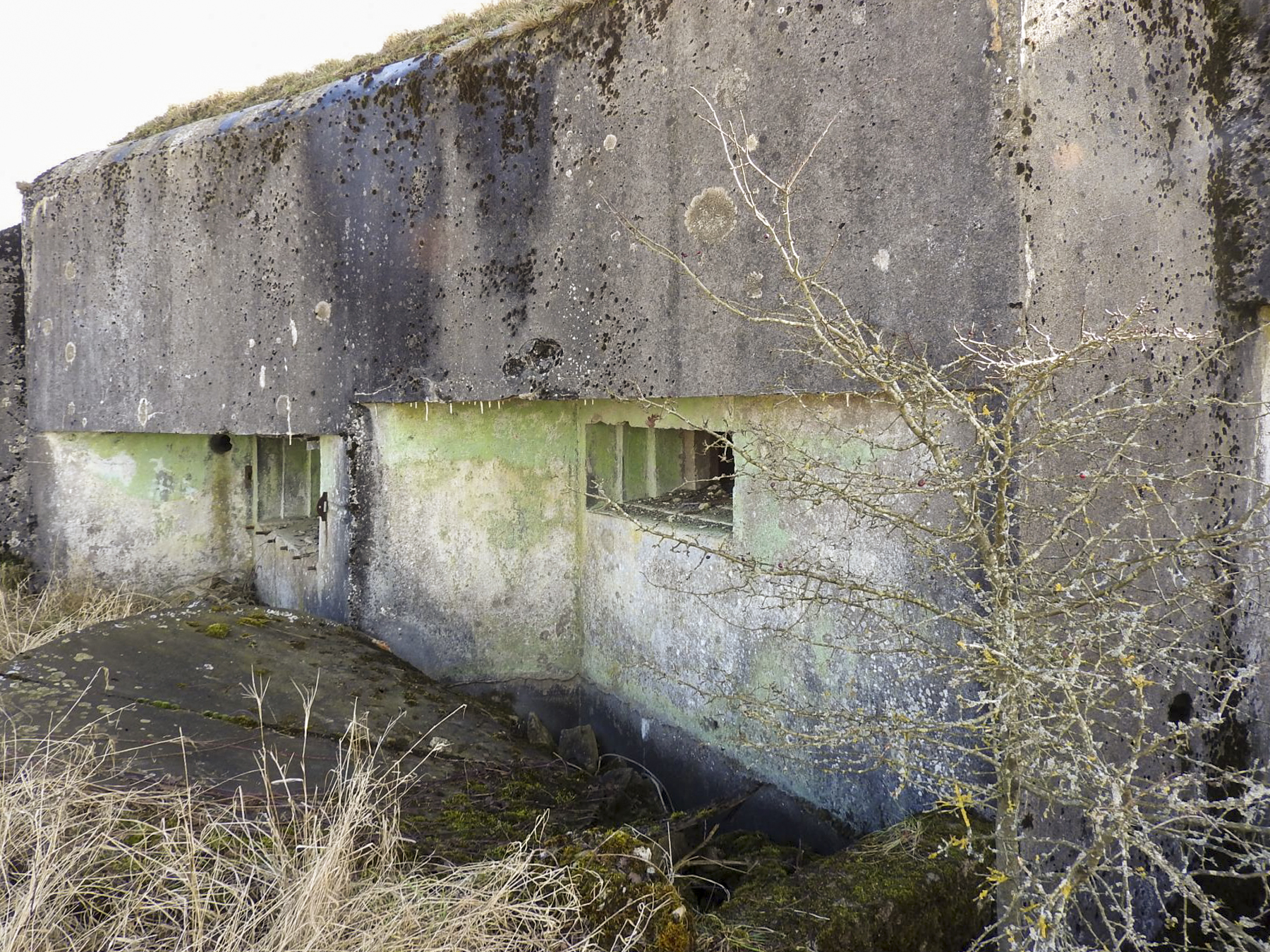 Ligne Maginot - AB35 - (Blockhaus pour canon) - La façade de tir. - STENGER Mathieu
