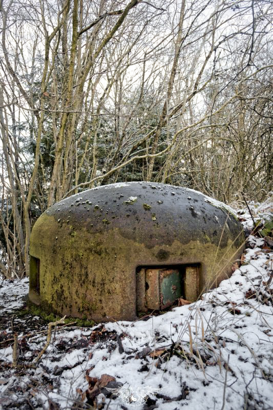 Ligne Maginot - HAUT DE L'ANGUILLE EST - C4 - (Casemate d'infanterie - Simple) -  - Thierry Caland