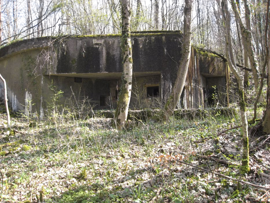 Ligne Maginot - BOIS DE TAPPE OUEST - C5 - (Casemate d'infanterie) -  - Pruzsina jerome
