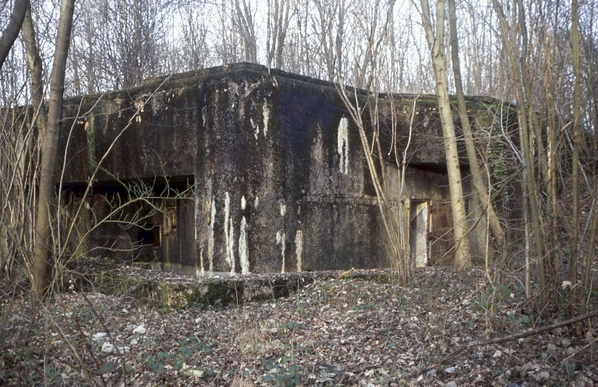 Ligne Maginot - BOIS DE TAPPE OUEST - C5 - (Casemate d'infanterie) -  - Valentin Hemmert