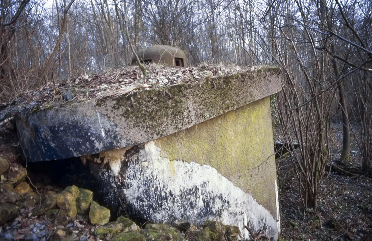 Ligne Maginot - BOIS DE TAPPE OUEST - C5 - (Casemate d'infanterie) -  - Valentin Hemmert
