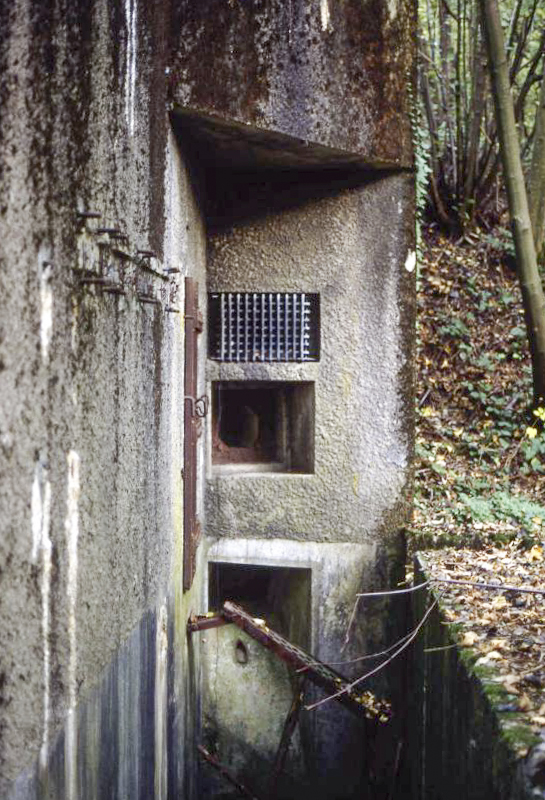 Ligne Maginot - BOIS DE TAPPE OUEST - C5 - (Casemate d'infanterie) -  - Valentin Hemmert