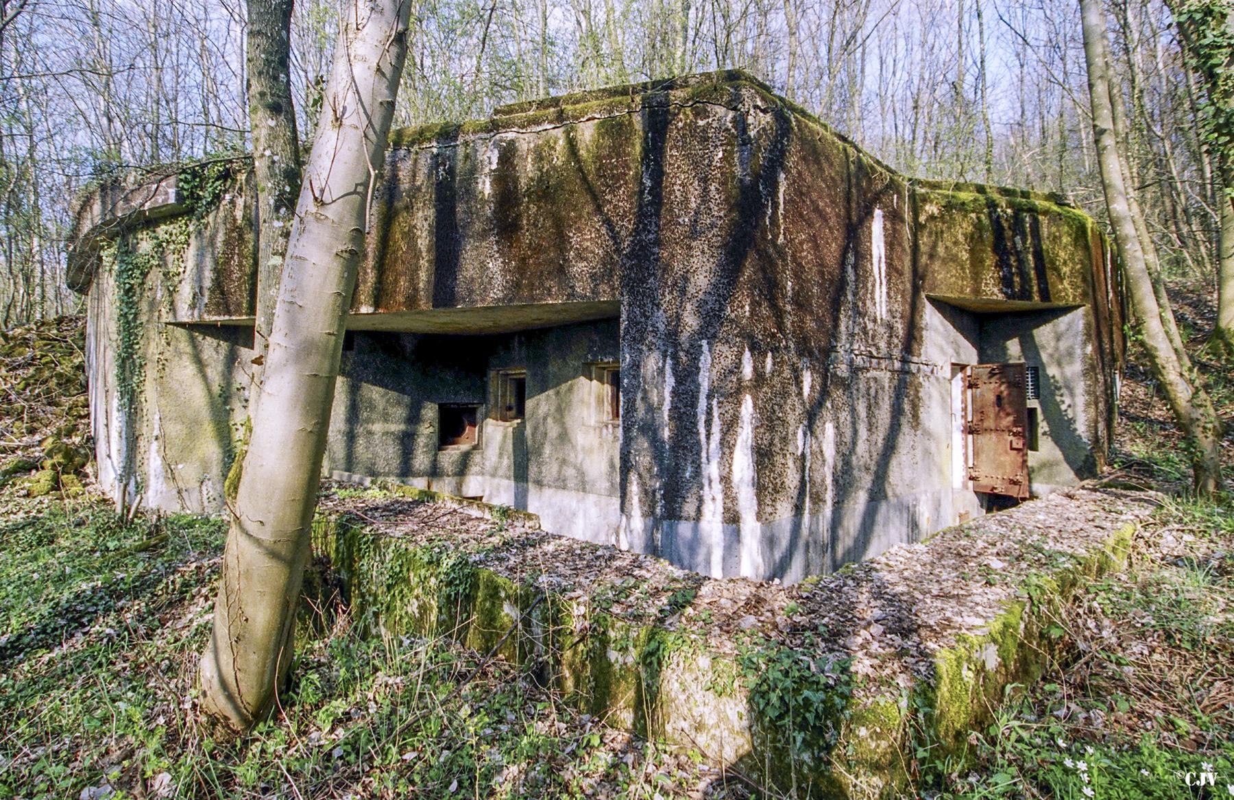 Ligne Maginot - BOIS DE TAPPE OUEST - C5 - (Casemate d'infanterie) -  - Lia VERMEULEN