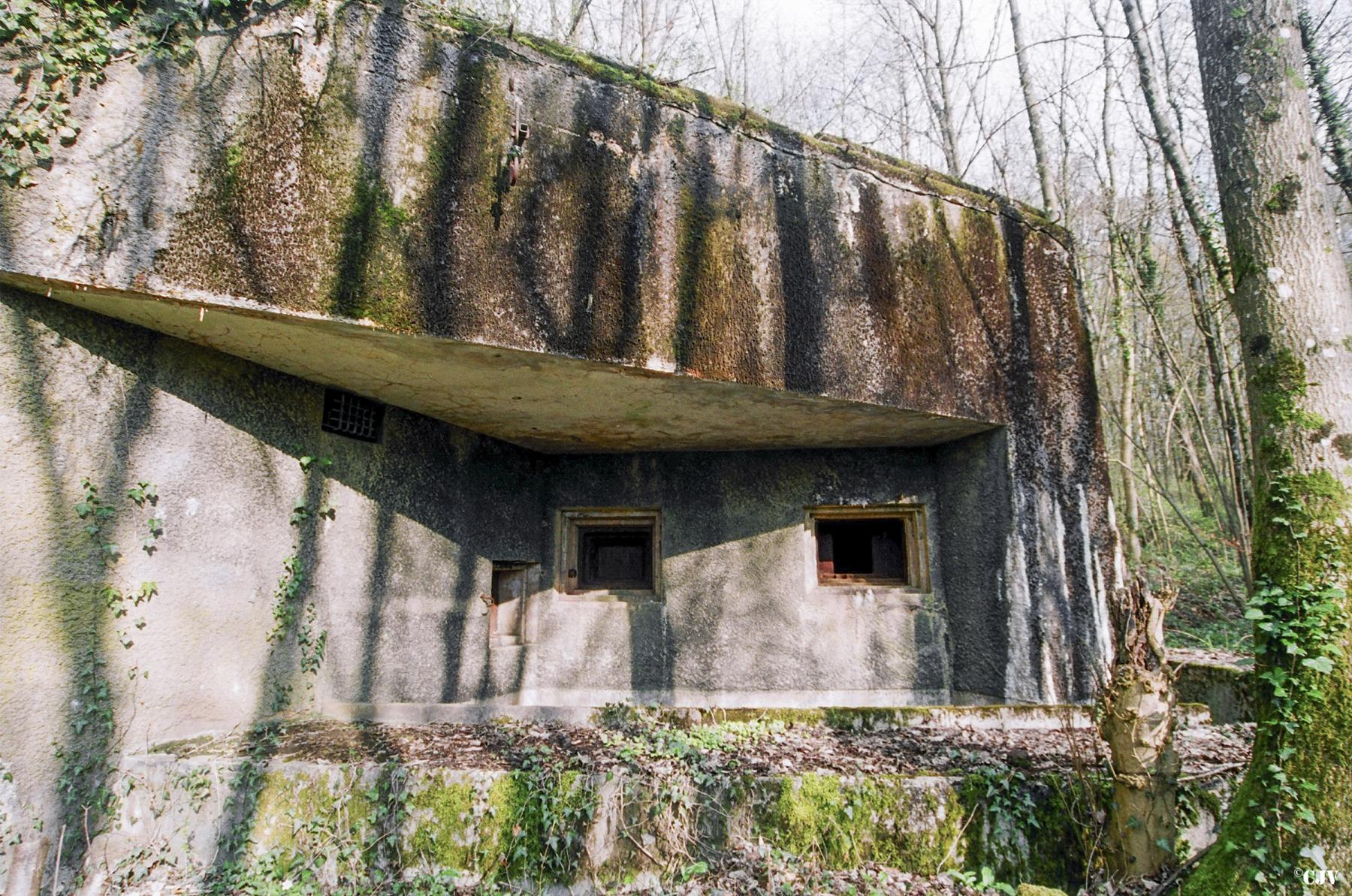 Ligne Maginot - BOIS DE TAPPE OUEST - C5 - (Casemate d'infanterie) -  - Lia VERMEULEN