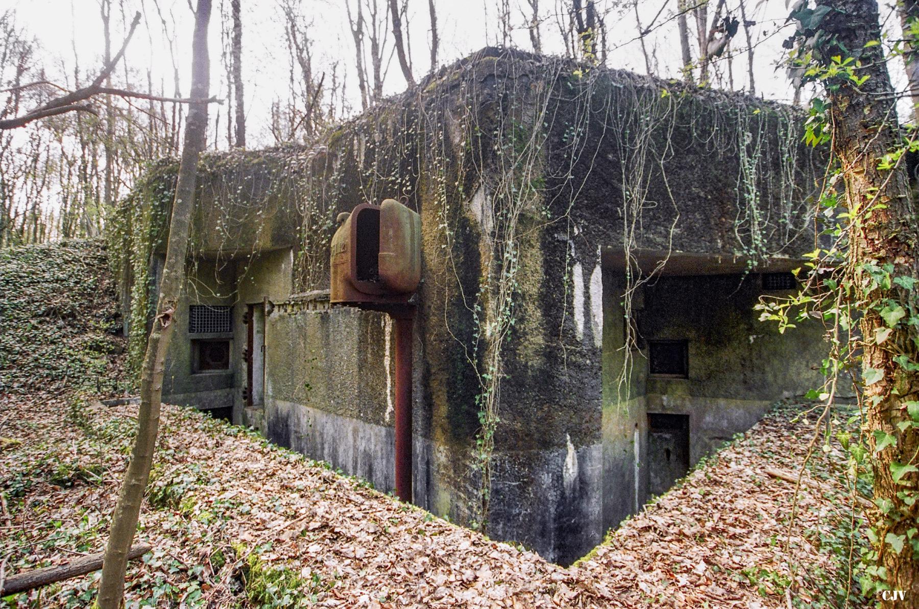 Ligne Maginot - BOIS DE TAPPE EST  - C6 - (Casemate d'infanterie) -  - Lia VERMEULEN