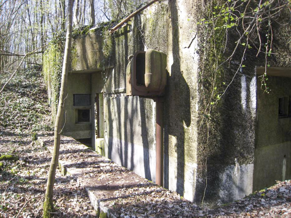 Ligne Maginot - BOIS DE TAPPE EST  - C6 - (Casemate d'infanterie) - Coté entrée - Pruzsina jerome
