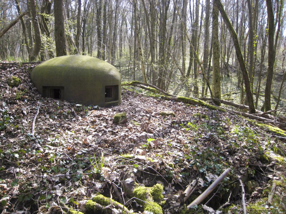 Ligne Maginot - BOIS DE TAPPE EST  - C6 - (Casemate d'infanterie) - Cloches GFM Est - Pruzsina jerome