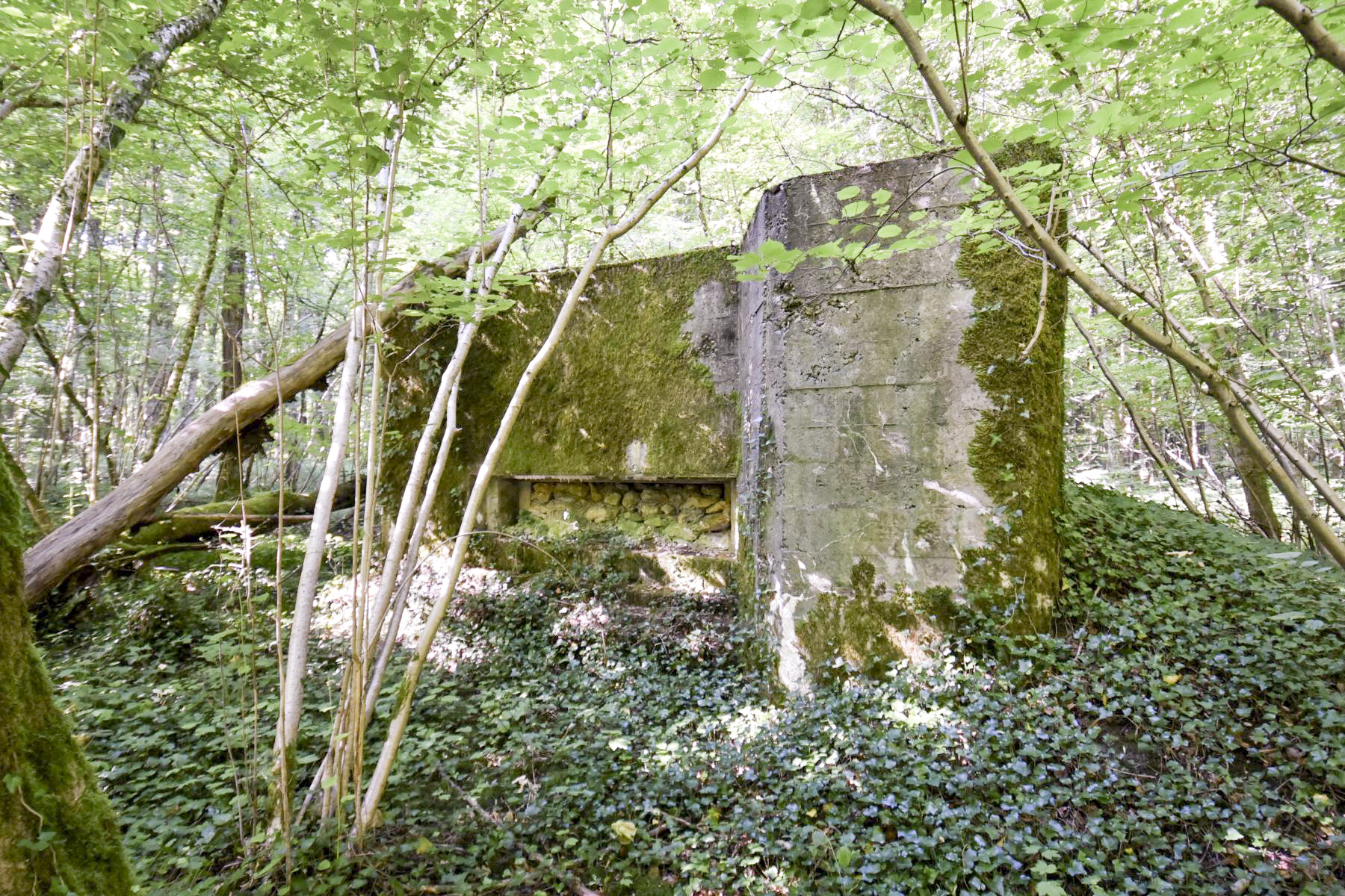 Ligne Maginot - DB302 - BOIS DE LATIREMONT - (Blockhaus pour canon) -  - Ludovic KNAPP