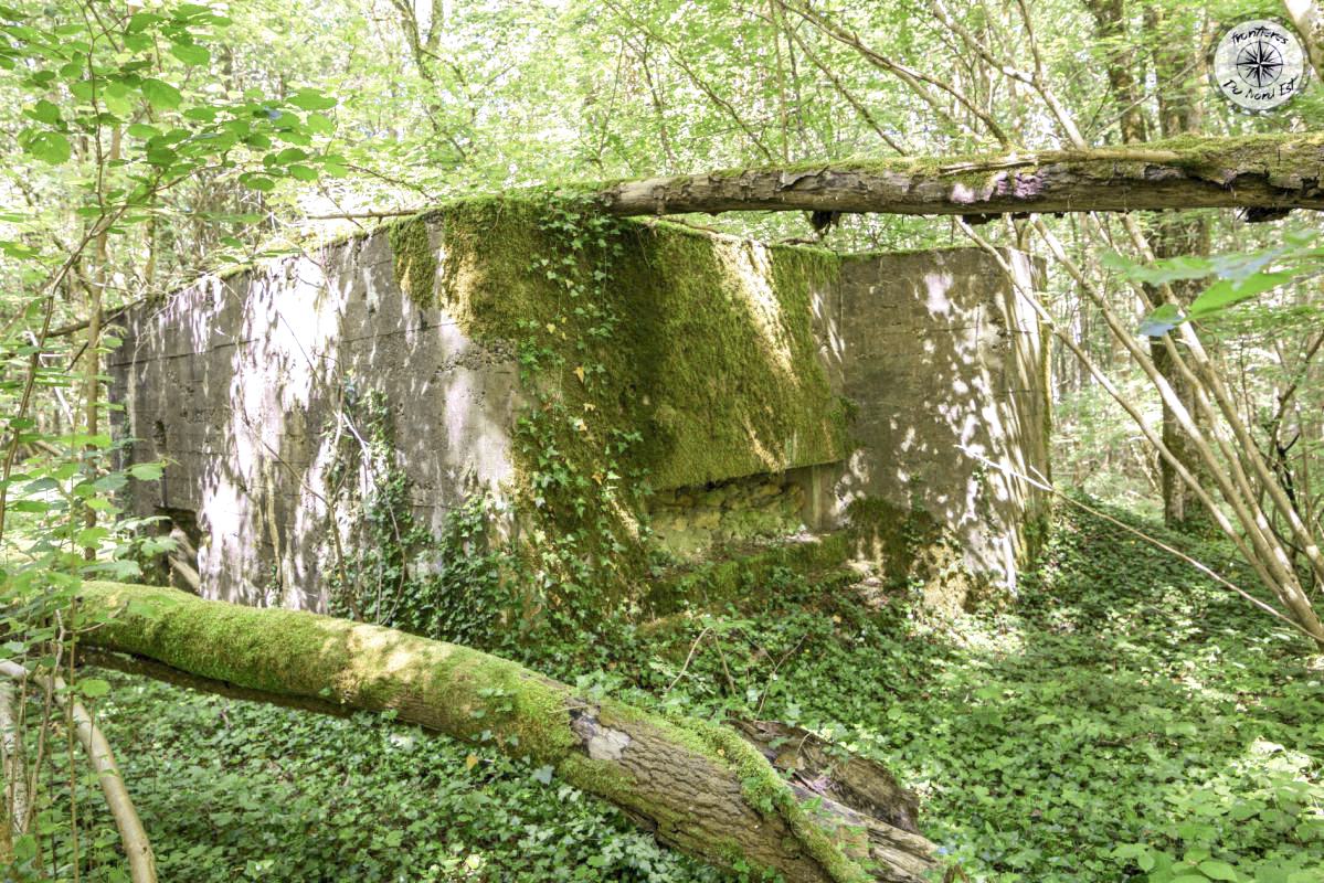 Ligne Maginot - DB302 - BOIS DE LATIREMONT - (Blockhaus pour canon) -   - Thierry Caland