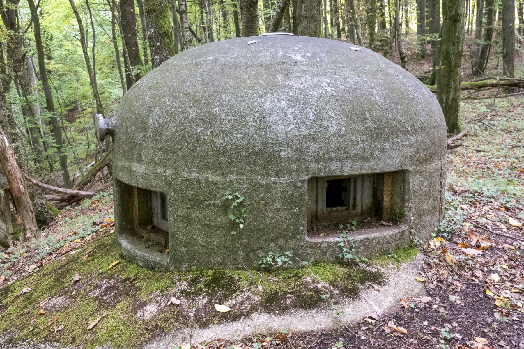 Ligne Maginot - CHENES BRULES - X23 - (Abri) - Coffre Nord
Cloche GFM à créneaux décalés - Michel Teiten