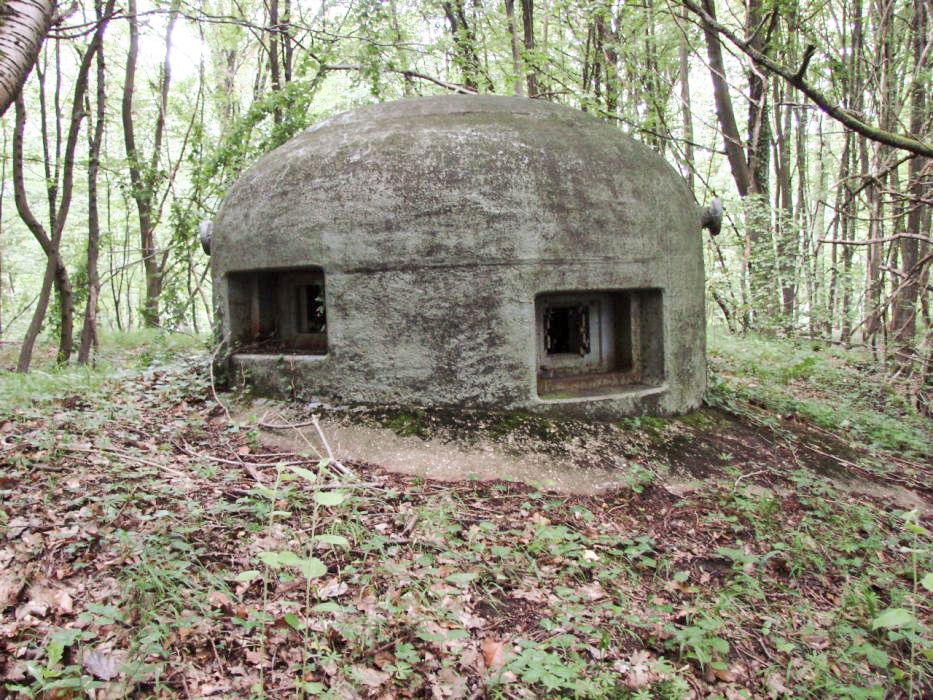 Ligne Maginot - CHENES BRULES - X23 - (Abri) - Coffre Nord
Cloche GFM - Schnoupf