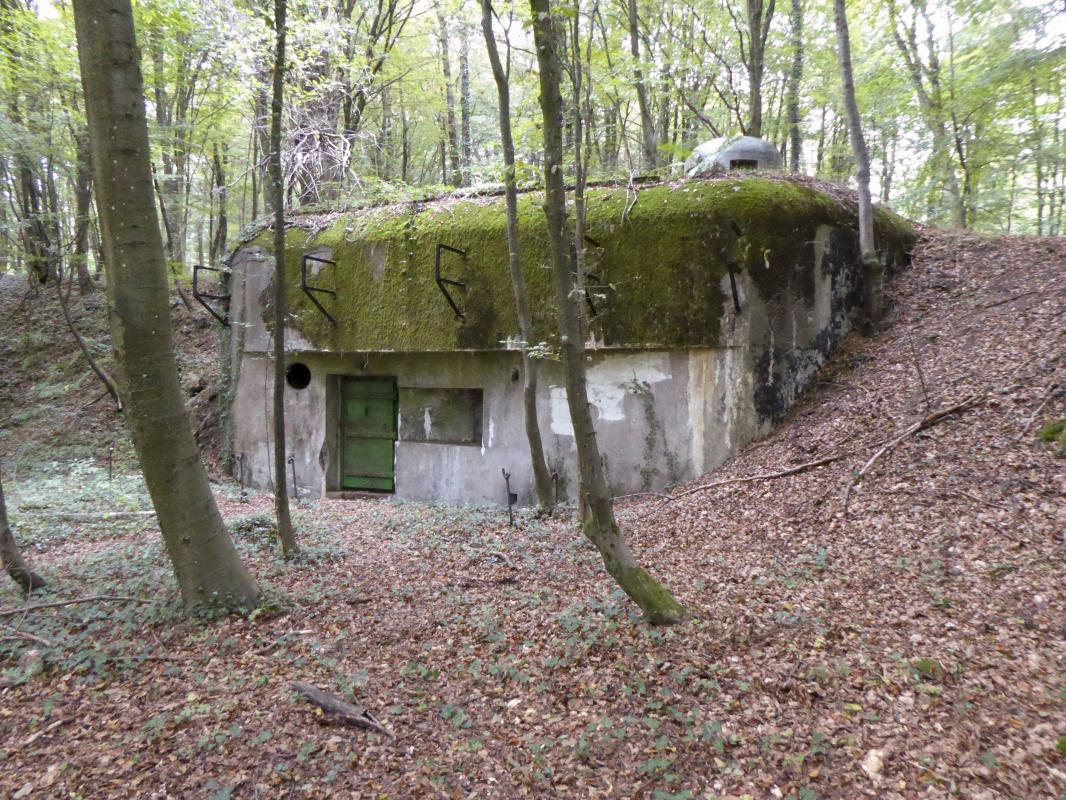 Ligne Maginot - CHENES BRULES - X23 - (Abri) - Coffre Sud - ELLENA-CUNY