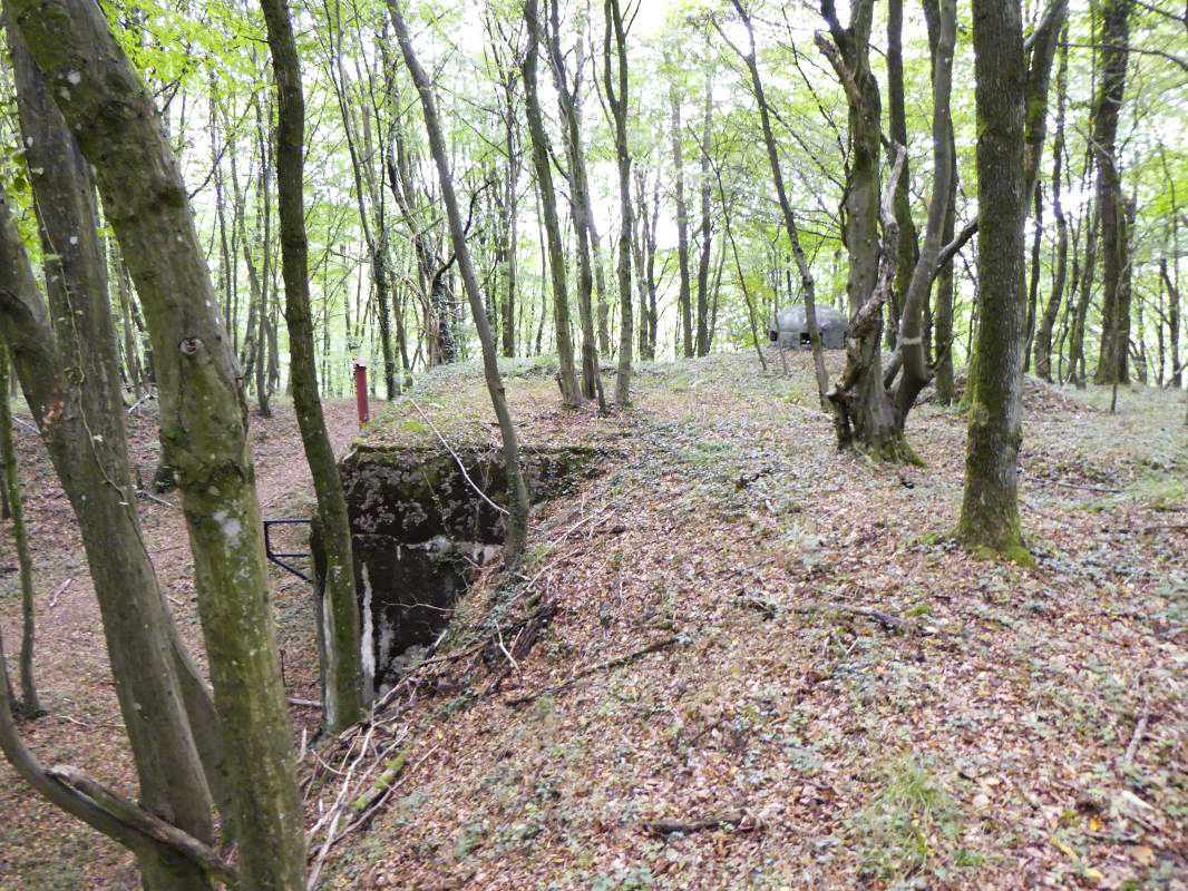 Ligne Maginot - CHENES BRULES - X23 - (Abri) - Coffre Nord - ELLENA-CUNY