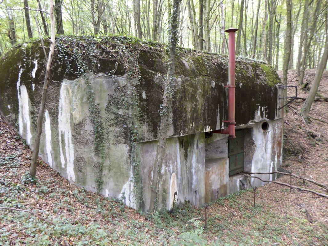 Ligne Maginot - CHENES BRULES - X23 - (Abri) - Coffre Nord - ELLENA-CUNY