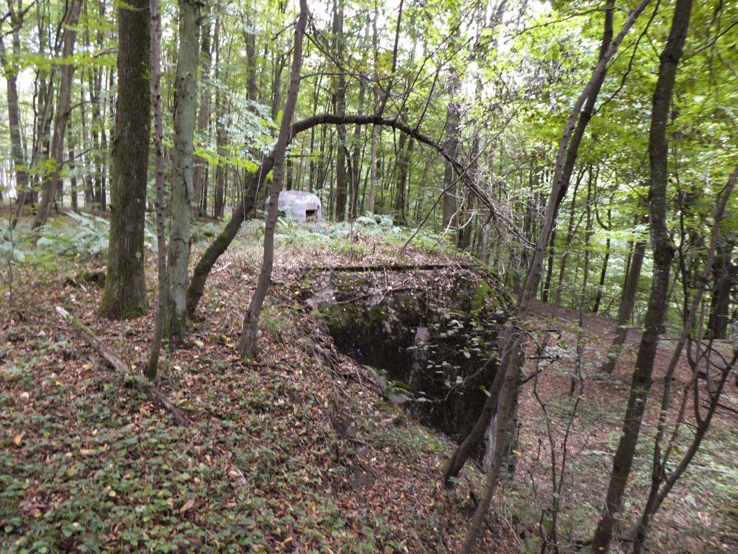 Ligne Maginot - CHENES BRULES - X23 - (Abri) - Coffre Sud - ELLENA-CUNY