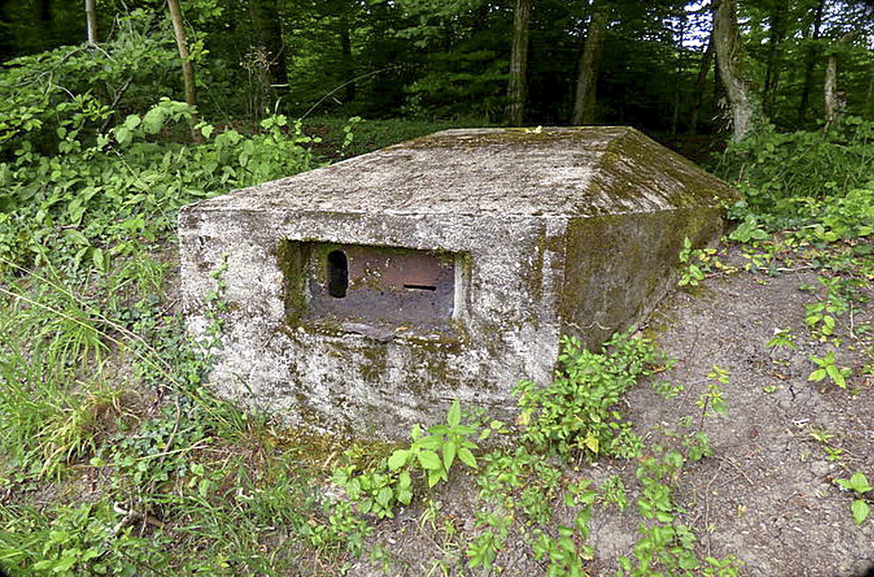Ligne Maginot - HUBERBUSCH 4 - (Blockhaus pour arme infanterie) -    - Sylvie Laure LAMBERT