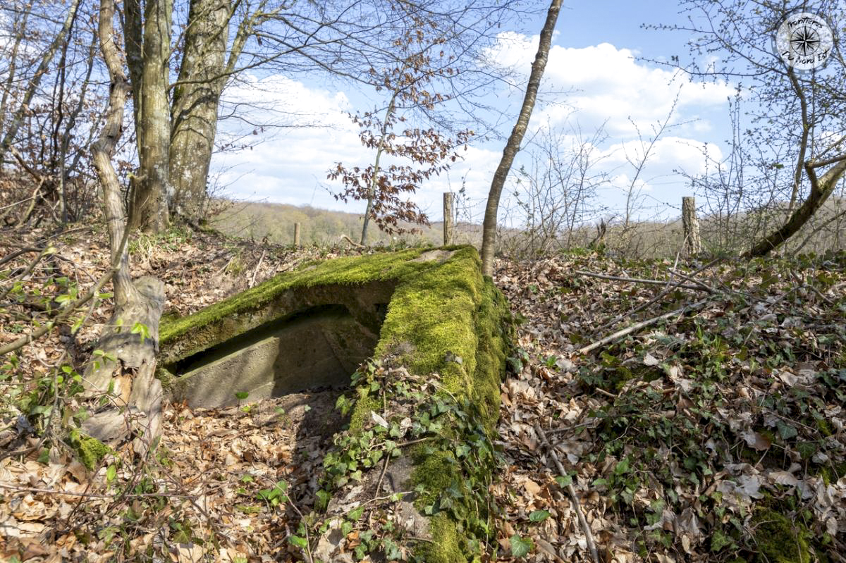Ligne Maginot - HUBERBUSCH 5 - (Blockhaus pour canon) -   - Thierry Caland