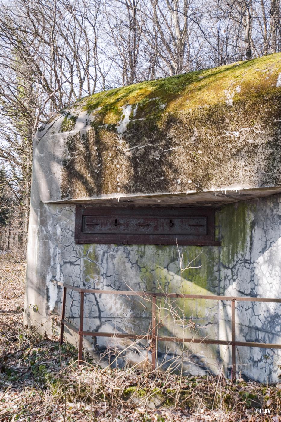 Ligne Maginot - BOIS D'OTTONVILLE - BCA1 - (Casemate d'artillerie) - L'observatoire frontal - Lia VERMEULEN
