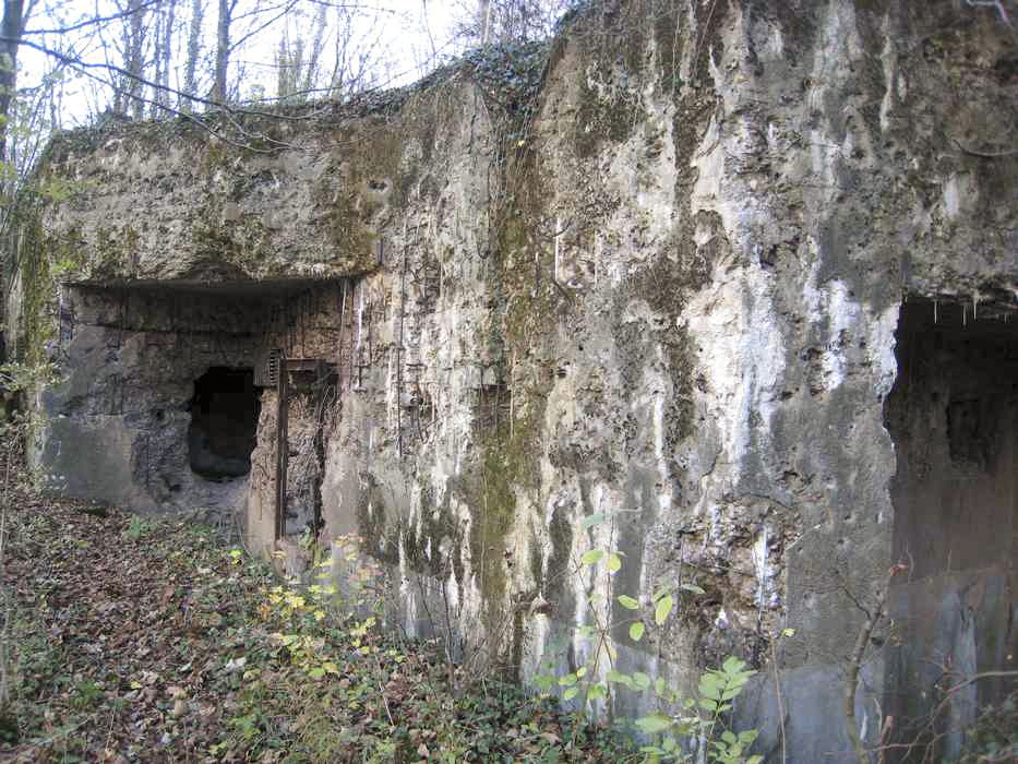 Ligne Maginot - VERBUSCH EST - C19 - (Casemate d'infanterie - Simple) - La facade de l'entrée complètement labourée - Pruzsina jérome