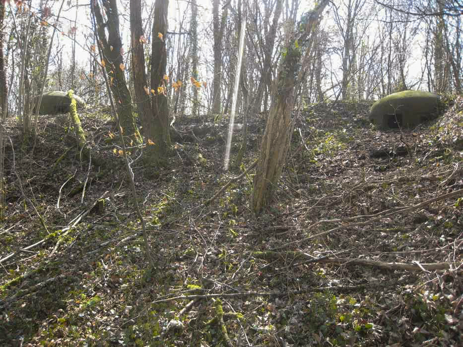 Ligne Maginot - VERBUSCH EST - C19 - (Casemate d'infanterie - Simple) - Vue sur les cloches JM et GFM - Pruzsina jérome