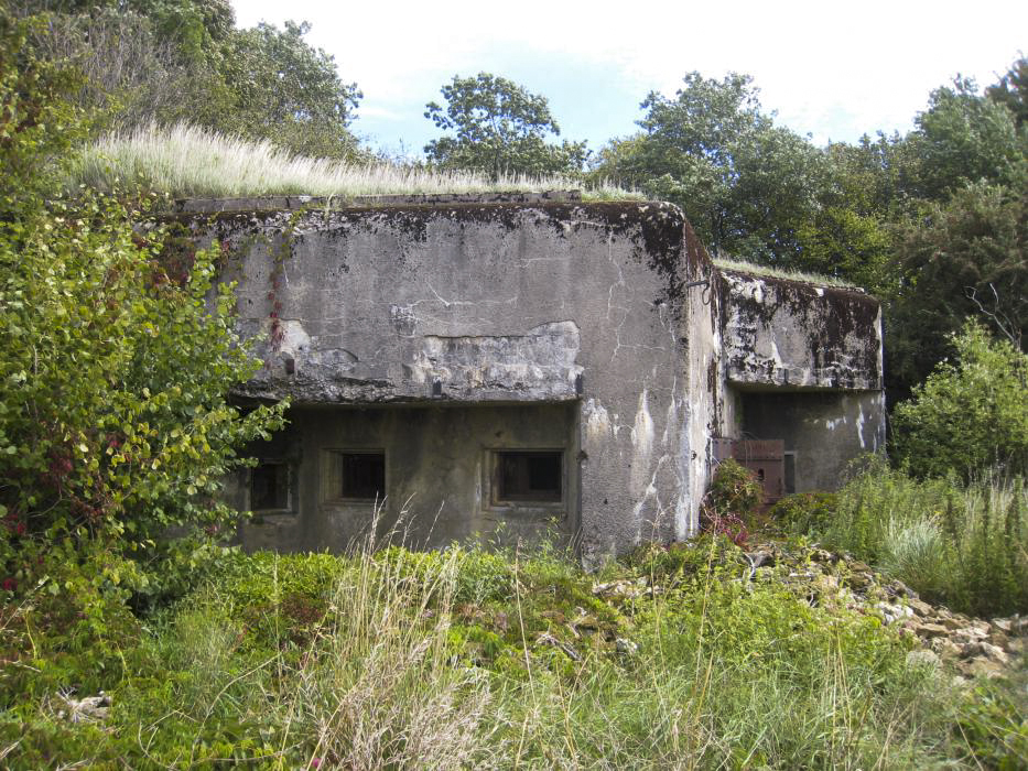 Ligne Maginot - FERME THIERY - C20 - (Casemate d'infanterie - Simple) -  - Pruzsina jerome