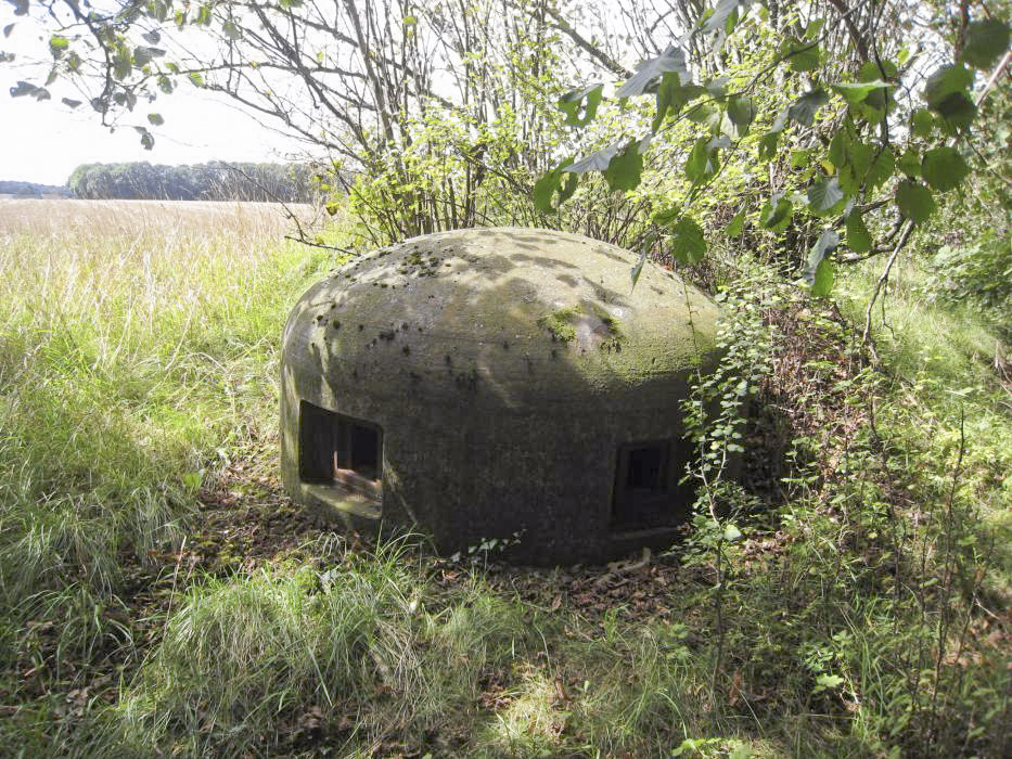 Ligne Maginot - FERME THIERY - C20 - (Casemate d'infanterie - Simple) -  - Pruzsina jerome