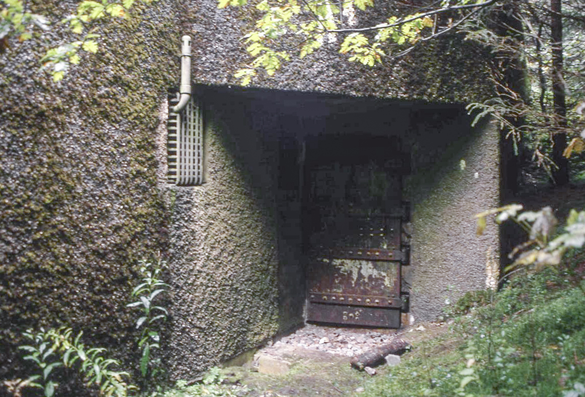 Ligne Maginot - BOURENE OUEST - C21 - (Casemate d'infanterie) -  - Valentin Hemmert