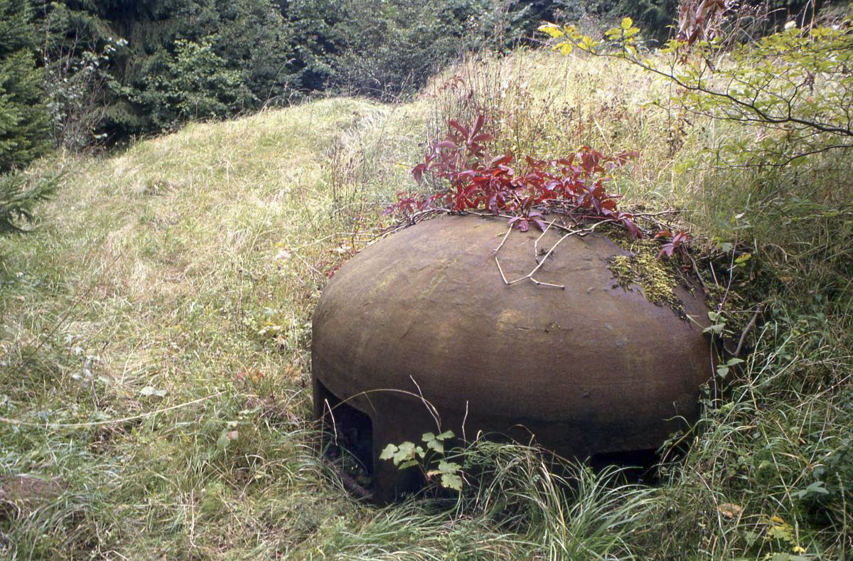 Ligne Maginot - BOURENE OUEST - C21 - (Casemate d'infanterie) - Cloche GFM dans son écrin de verdure - Valentin Hemmert