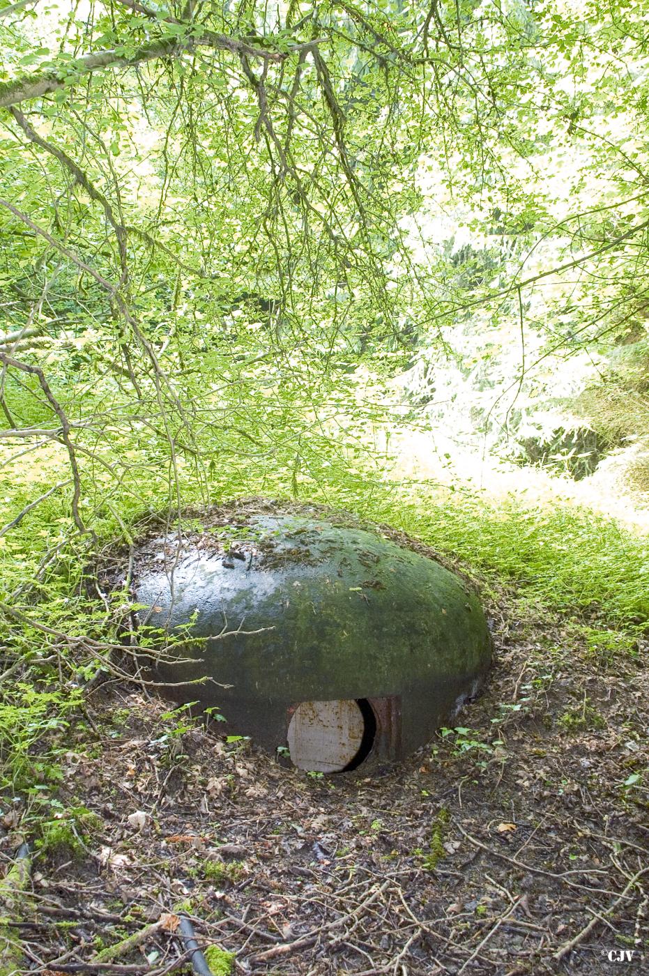 Ligne Maginot - BOURENE OUEST - C21 - (Casemate d'infanterie) -  - Lia VERMEULEN