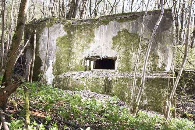 Ligne Maginot - DB125 - BOIS DE CRUSNES OUEST - (Blockhaus pour canon) -  - www.arnaultjl-photo.com