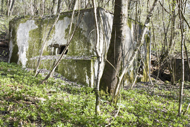 Ligne Maginot - DB125 - BOIS DE CRUSNES OUEST - (Blockhaus pour canon) -  - www.arnaultjl-photo.com