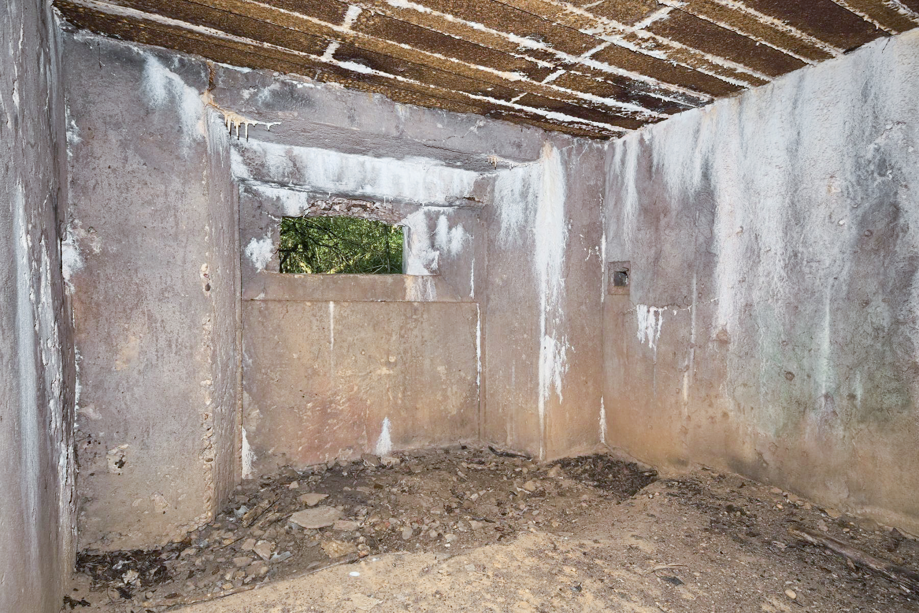 Ligne Maginot - DB125 - BOIS DE CRUSNES OUEST - (Blockhaus pour canon) -  - Thierry Caland