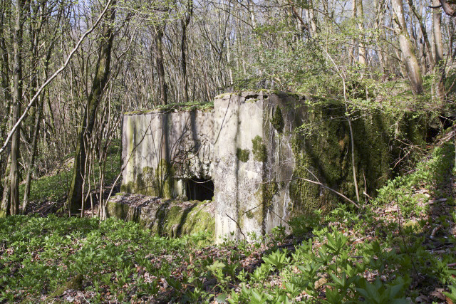 Ligne Maginot - DB126 - BOIS DE CRUSNES EST - (Blockhaus pour canon) -  - www.arnaultjl-photo.com
