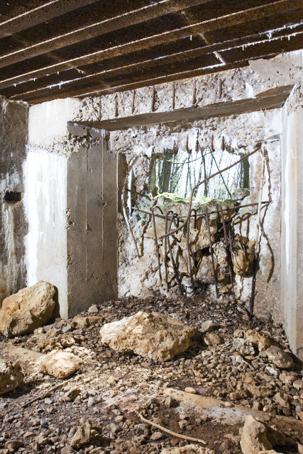 Ligne Maginot - DB126 - BOIS DE CRUSNES EST - (Blockhaus pour canon) -  - www.arnaultjl-photo.com