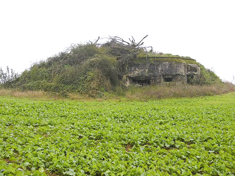 Ligne Maginot - DB11 - (Blockhaus pour canon) -  - AALMA - lignemaginot.com