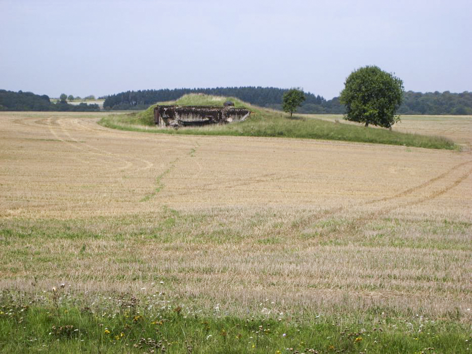 Ligne Maginot - NOUVEAU CRUSNES OUEST - C26 - (Casemate d'infanterie - Simple) -  - Pruzsina jerome