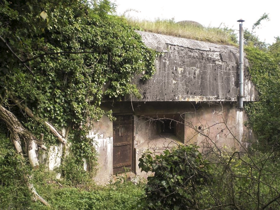 Ligne Maginot - ROTHERBERG - X30 (QUARTIER FREISTROFF - II/162°RIF) - (Abri) - Entrée Sud - Frantz