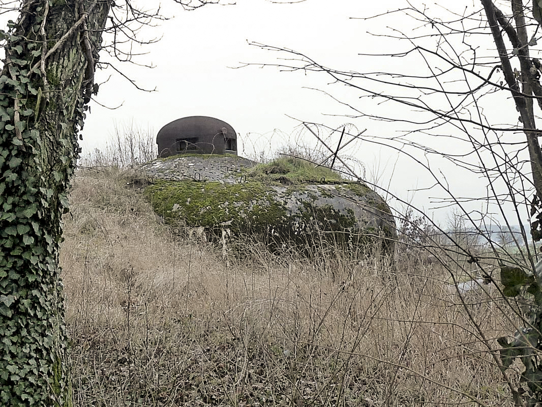 Ligne Maginot - ROTHERBERG - X30 (QUARTIER FREISTROFF - II/162°RIF) - (Abri) -      - Sylvie Laure LAMBERT