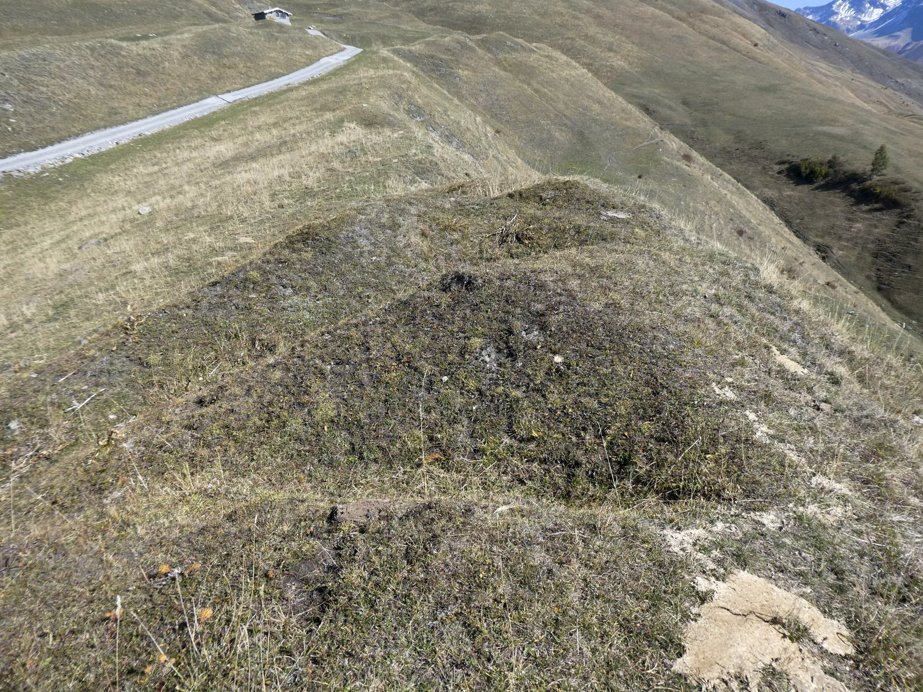 Ligne Maginot - COMBOTTIER - (Position d'artillerie préparée) - Observatoire sur la crête - ELLENA Daniel - CUNY Philippe