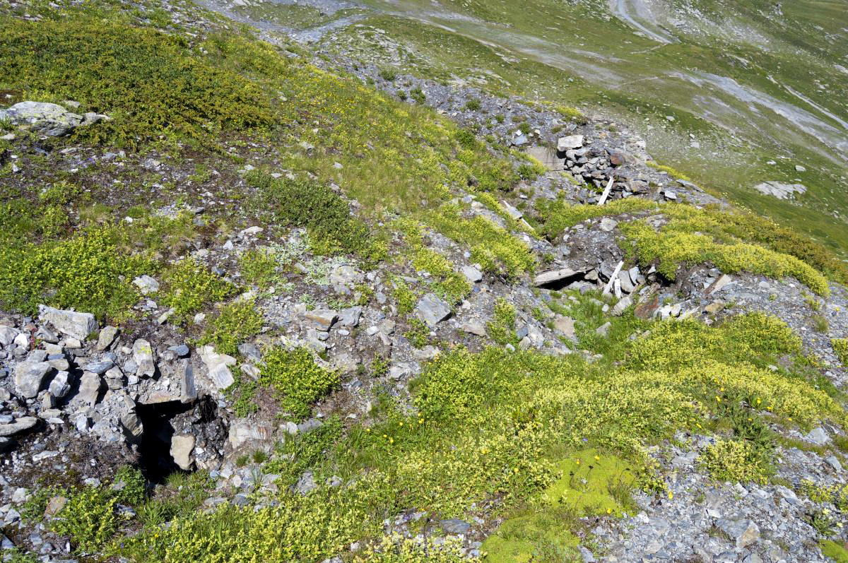 Ligne Maginot - ROC NOIR EST 2 - (Blockhaus pour arme infanterie) - La tranchée de raccordement - Michal Prasil