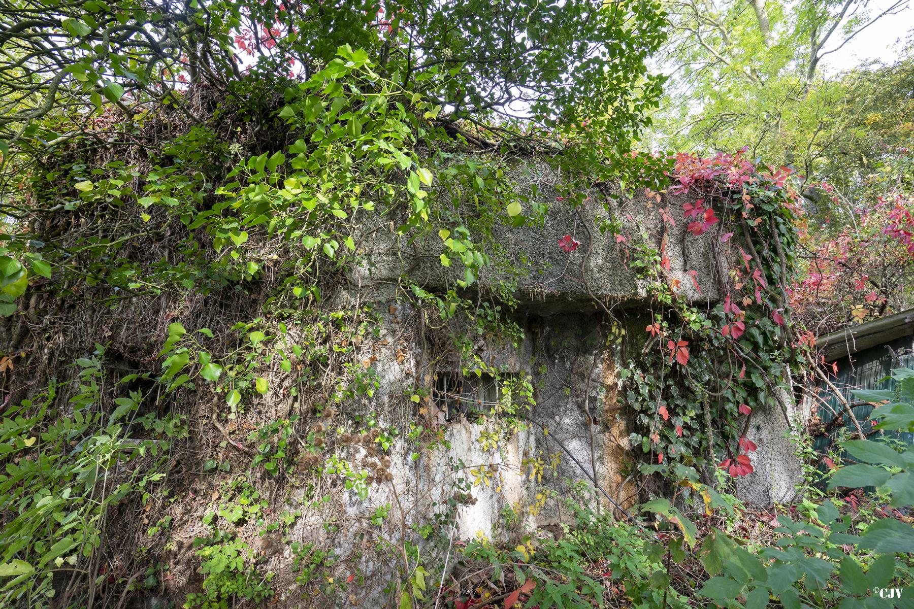 Ligne Maginot - B324 - CYSOING - (Blockhaus pour canon) -  - Lia VERMEULEN