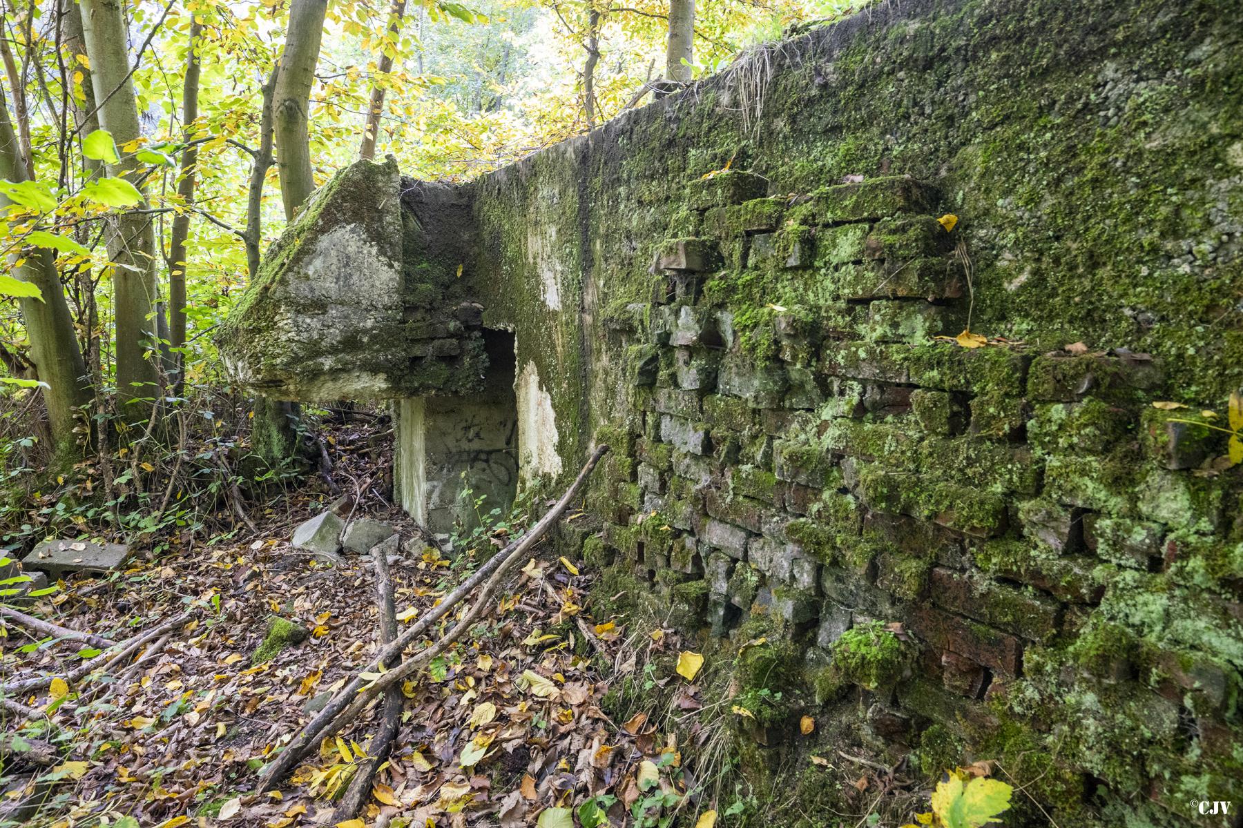 Ligne Maginot - BEF 313A - LES BRUYERES OUEST - (Blockhaus pour arme infanterie) -  - Lia VERMEULEN