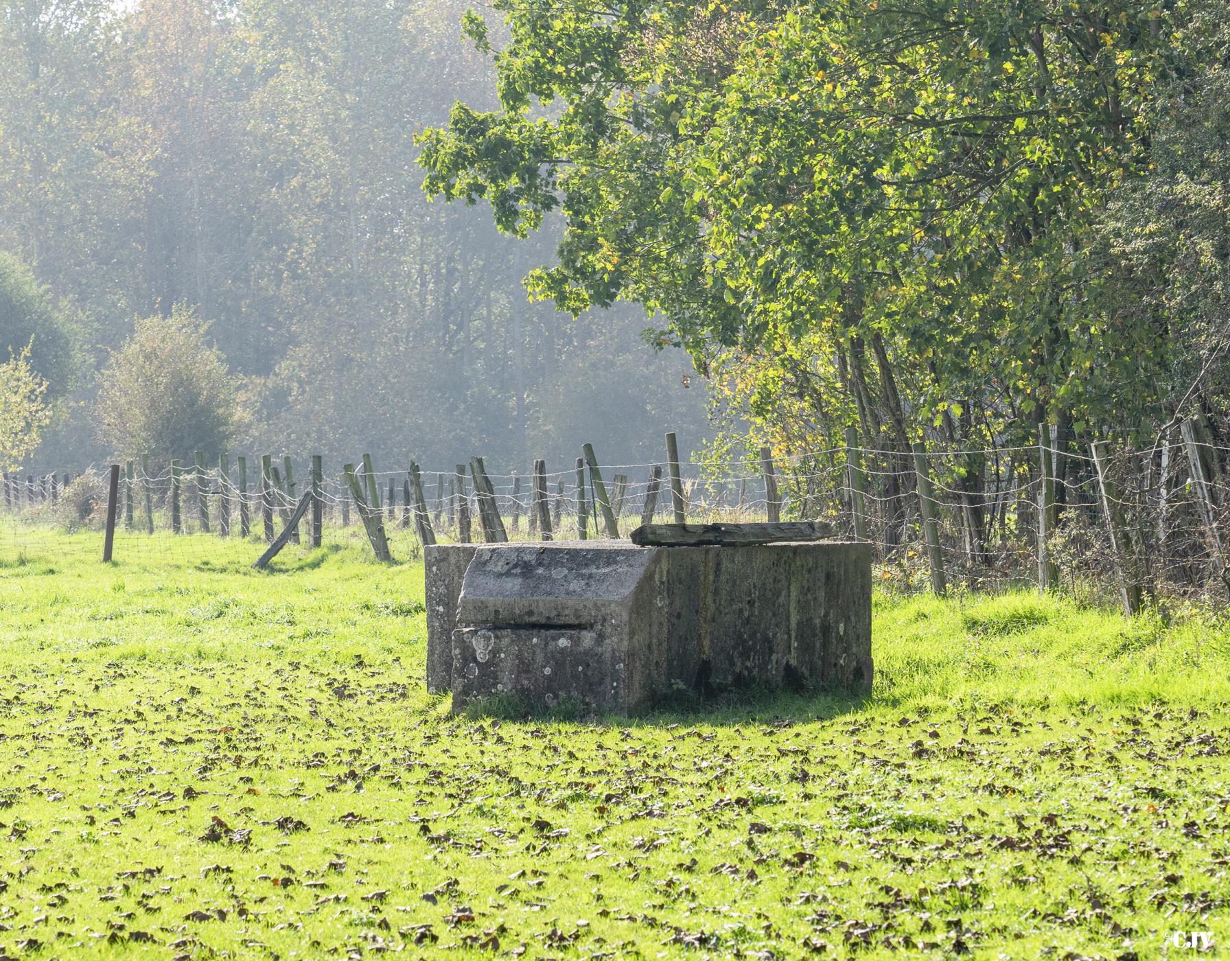 Ligne Maginot - BEF 313B - LES BRUYERES EST - (Observatoire d'artillerie) -  - Lia Vermeulen