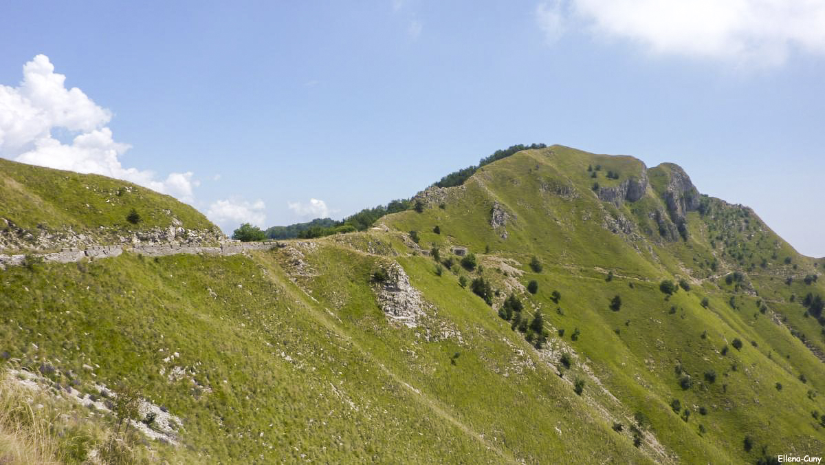 Ligne Maginot - LA DEA (D) - (Abri actif) -  - Ellena-Cuny
