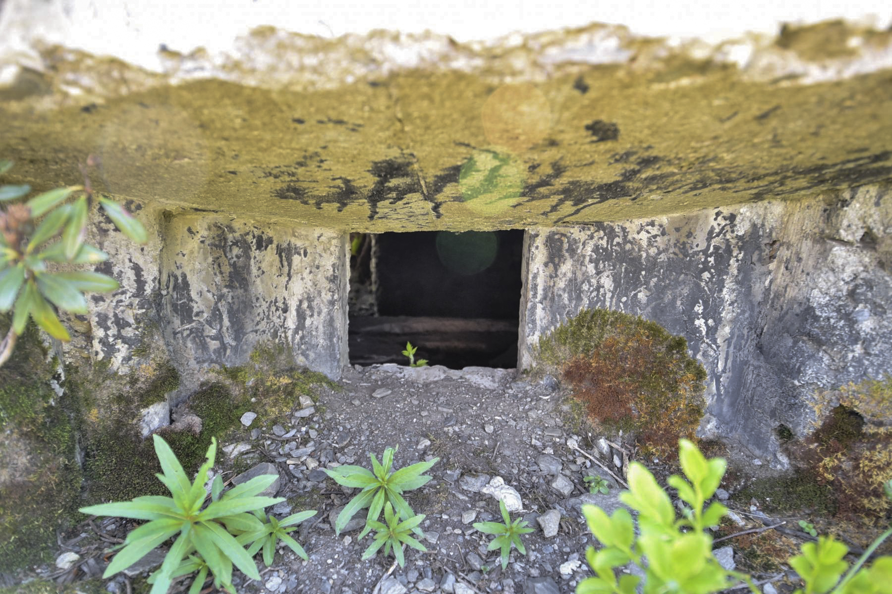 Ligne Maginot - PLAN DU REPOS 1 - (Blockhaus pour arme infanterie) -  - Ludovic KNAPP