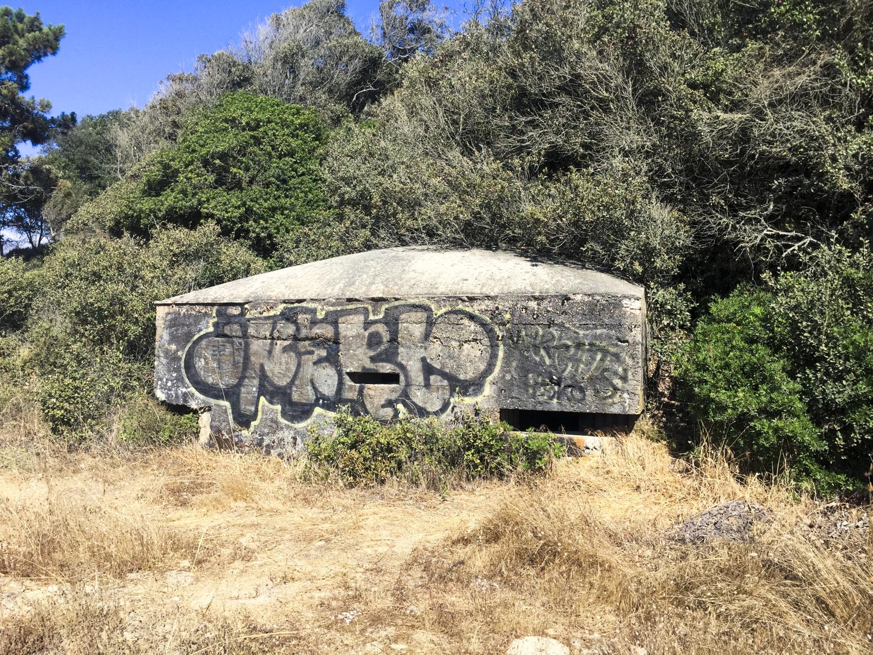 Ligne Maginot - CARDICCIA - (Blockhaus pour arme infanterie) -  - Fabien-Hubert Leclercq