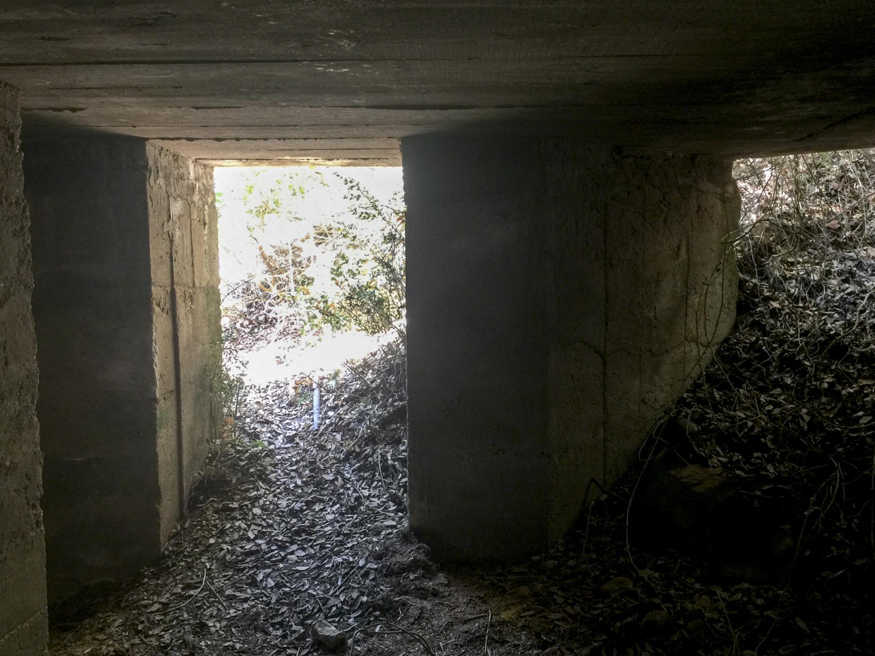 Ligne Maginot - CARDICCIA - (Blockhaus pour arme infanterie) -  - Fabien-Hubert Leclercq